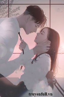 Người Vợ Bất Đắc Dĩ Của Tổng Tài book cover