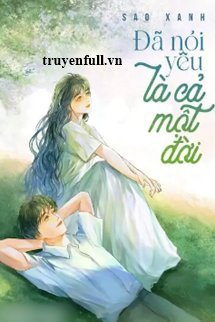 Đã Nói Là Yêu Cả Một Đời book cover