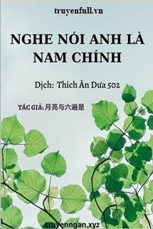 Nghe Nói Anh Là Nam Chính book cover