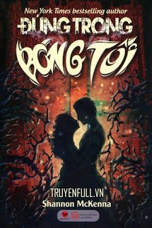 Đứng Trong Bóng Tối book cover