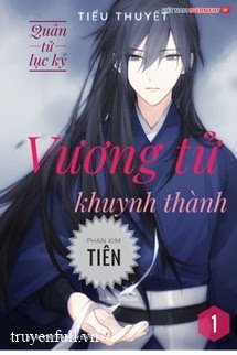 Vương Tử Khuynh Thành book cover