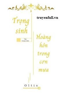 Hoàng Hôn Trong Cơn Mưa book cover