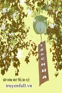 Táo Chua book cover