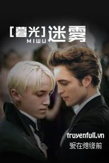 [Harry Potter X Twilight] Mê Vụ book cover