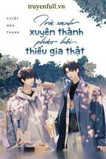 Trà Xanh Xuyên Thành Pháo Hôi Thiếu Gia Thật book cover