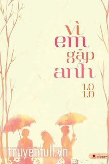 Vì Em Gặp Anh book cover