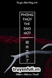 Phóng Thủy Thì Sao Hử book cover