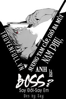 Sương Tam Cấp, Gió Ba Mùi: Nam Phụ, Anh Là Boss? book cover