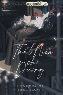 Thất Niên Chi Dương book cover