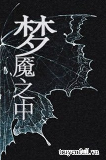 Trong Ác Mộng book cover