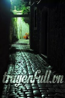 Hẻm Sâu book cover