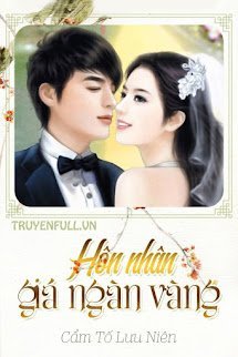 Hôn Nhân Giá Ngàn Vàng book cover