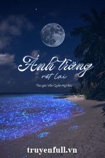Ánh Trăng Rớt Lại book cover