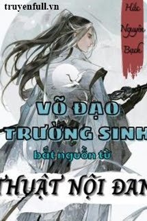 Võ Đạo Trường Sinh Bắt Đầu Từ Thuật Nội Đan book cover