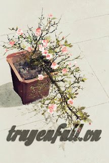 Nếu Có Biết Xuân Về Chốn Nọ book cover