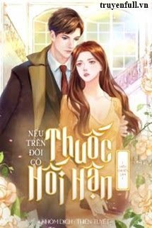 Nếu Trên Đời Có Thuốc Hối Hận book cover