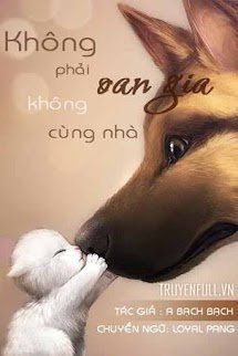 Không Phải Oan Gia, Không Chung Nhà book cover
