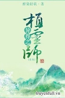 Dị Giới Chi Thực Linh Sư book cover