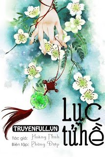 Lục Tử Hề book cover