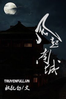 Nam Thành Gió Nổi book cover