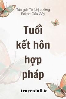 Tuổi Kết Hôn Hợp Pháp - Tô Nhị Lưỡng book cover