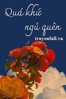 Quá Khứ Ngủ Quên book cover