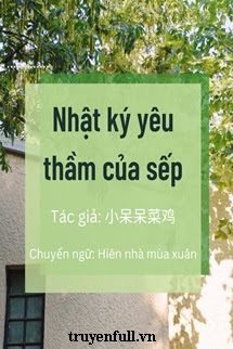 Nhật Ký Yêu Thầm Của Sếp book cover