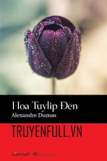 Hoa Tulip Đen Cover