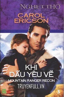 Khi Dấu Yêu Về book cover