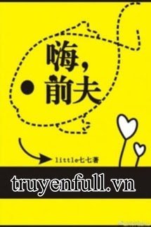 Xin Chào, Chồng Trước book cover