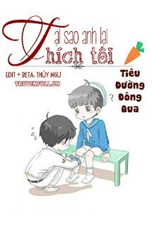 Tại Sao Anh Lại Thích Tôi book cover