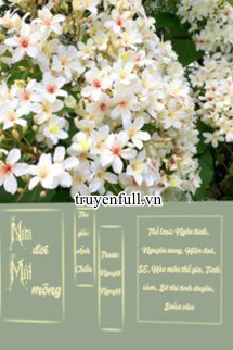 Nửa Đời Một Mộng book cover