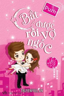Bắt Được Rồi, Vợ Ngốc book cover