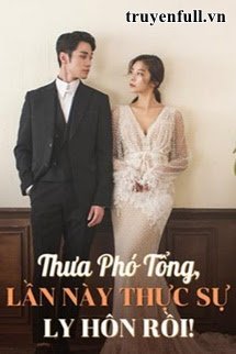 Thưa Phó Tổng, Lần Này Thực Sự Ly Hôn Rồi! book cover