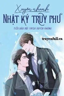 Xuyên Nhanh Nhật Ký Truy Phu book cover