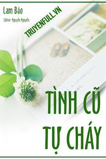 Tình Cũ Tự Cháy book cover