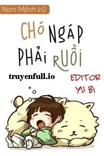 Chó Ngáp Phải Ruồi - Nam Mệnh Vũ book cover