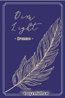 Dim Light book cover