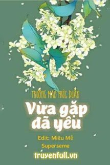 Vừa Gặp Đã Yêu book cover