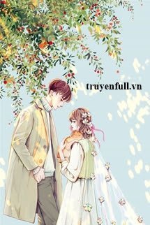 Trời Lặng Gió book cover