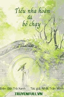 Tiểu Nha Hoàn Đã Bỏ Chạy book cover