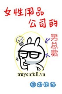 Chủ Tịch Công Ty Băng Vệ Sinh book cover