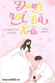 Đánh Rơi Bà Xã book cover