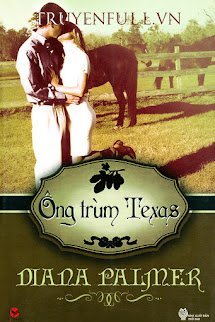 Ông Trùm Texas book cover