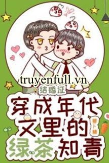 Xuyên Thành Trà Xanh Thanh Niên Trí Thức Trong Truyện Niên Đại book cover