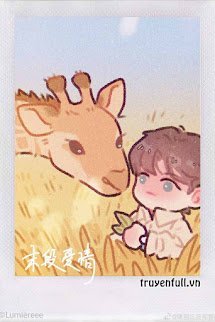 Tình Cuối book cover