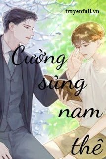 Cường Sủng Nam Thê book cover
