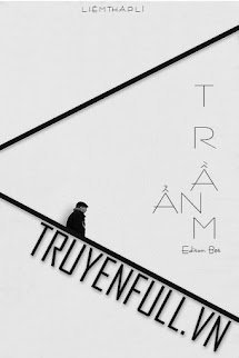 Trầm Ẩn book cover