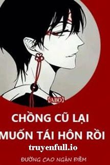 Chồng Trước Lại Muốn Phục Hôn book cover