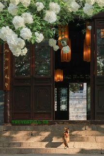 Tường Hoa Năm Ấy book cover